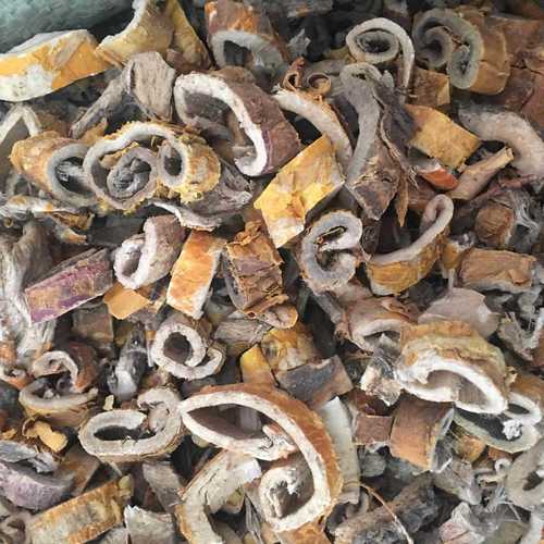 桑白皮桑白皮1000克景会药业大货批发