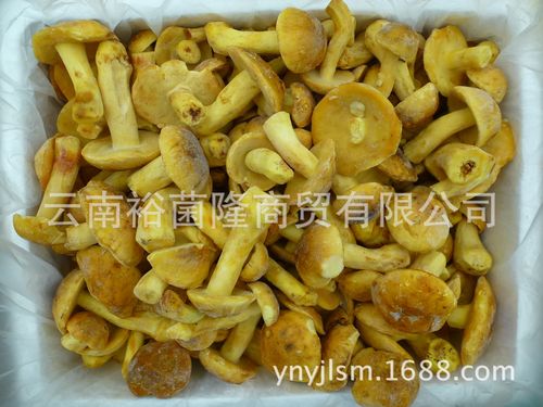包装方式食用农产品原产地云南是否进口否灰分&le;0水分&le;85杂质&le;1